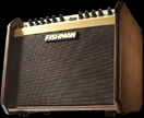 Fishman Acoustic