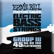 Ernie Ball Flatwound 45-100 2806 EP02806