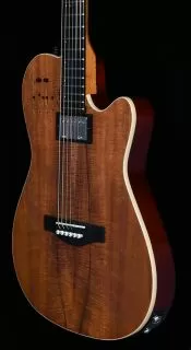 Godin xtSA Guitar (Koa)