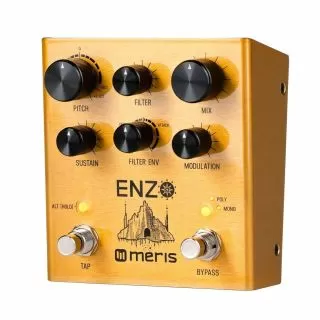 Meris Enzo Multi-Voice Synthesizer Pedal 
