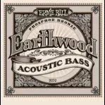Earthwood Acoustic Bass 